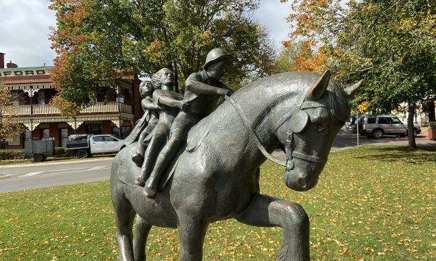 Council to Review Outdoor Dining Policy