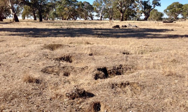 Barry Golding on Local Indigenous History
