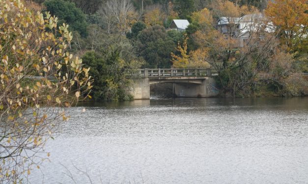 Day Walks Near Daylesford