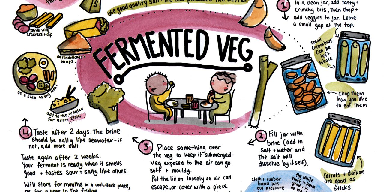 More Ferment: Vegetables This Week