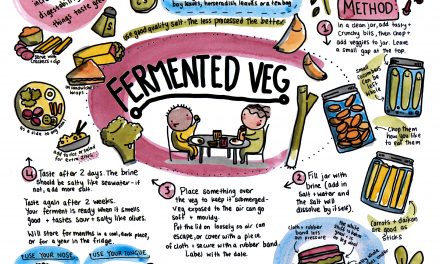 More Ferment: Vegetables This Week