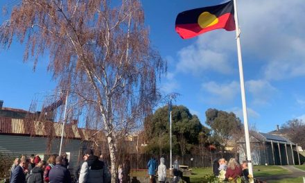 COVID Safe NAIDOC Week
