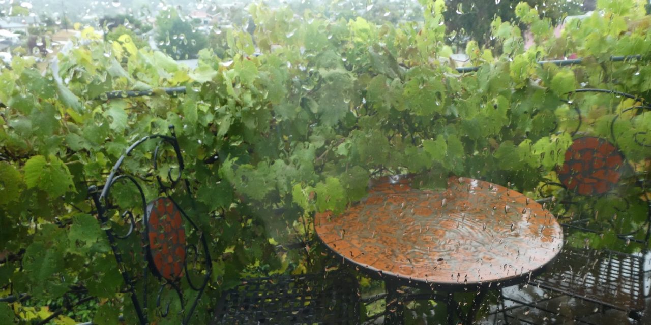 What a Difference Some Rain Makes!