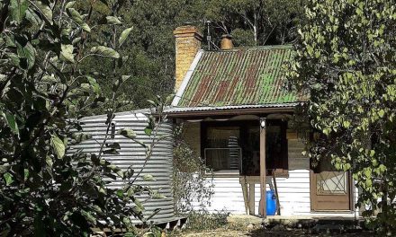 Local Community Discusses Housing Options