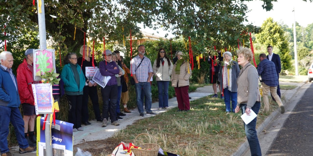 Locals Hold Protest over 17 Smith St Development
