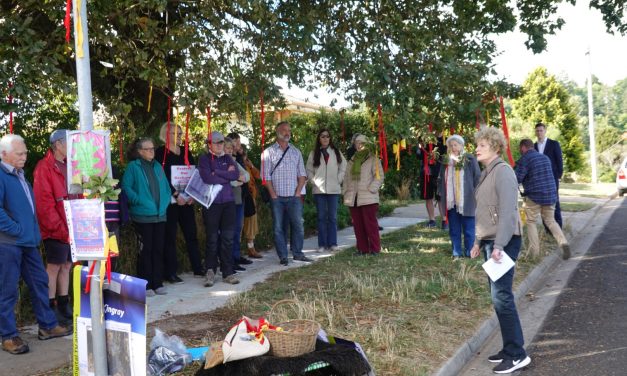 Locals Hold Protest over 17 Smith St Development