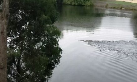 Return to Lake Daylesford