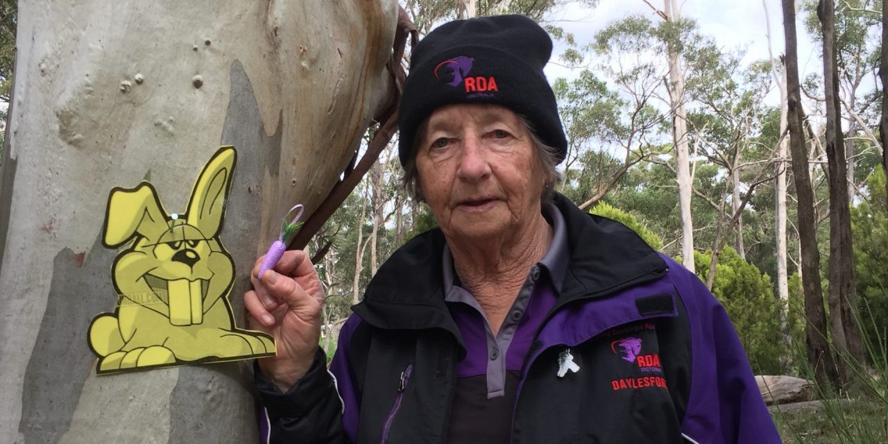 ‘RDA is Better than Sliced Bread’ Says 25-Year Volunteer Wendy Hogben