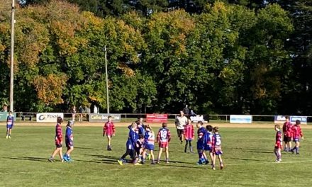 Footy Opener Abandoned After Serious Injury