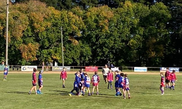 Footy Opener Abandoned After Serious Injury