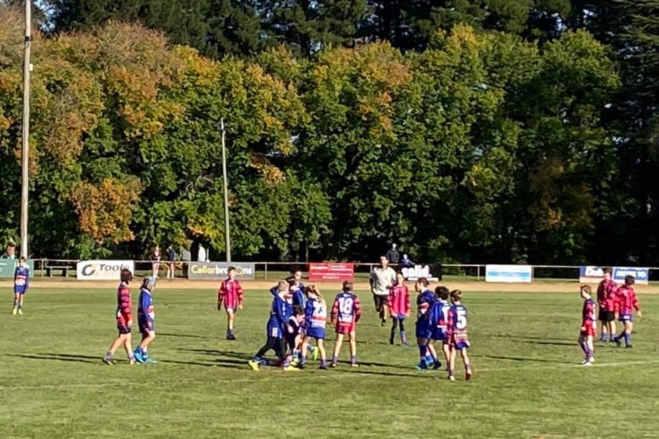 Footy Opener Abandoned After Serious Injury