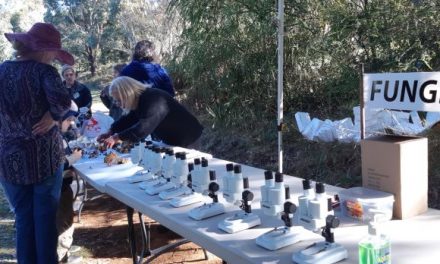 Primary School Students Visit Cornish Hill