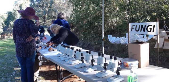 Primary School Students Visit Cornish Hill