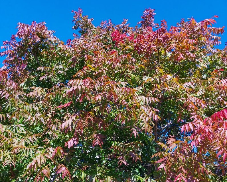 Great Autumn Weather is Here