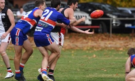 Another Win for the Burras but the Doggies go Down
