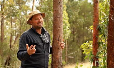 Trentham Carbon Forestry Project Receives Funding from the Hepburn Wind Impact Fund
