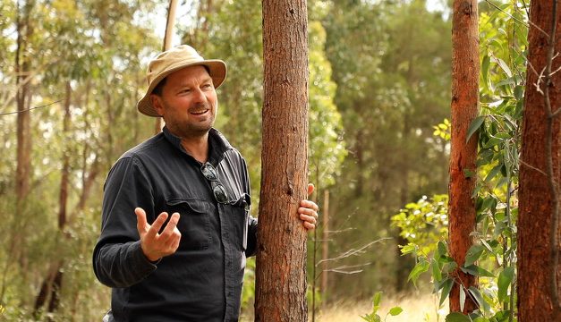 Trentham Carbon Forestry Project Receives Funding from the Hepburn Wind Impact Fund