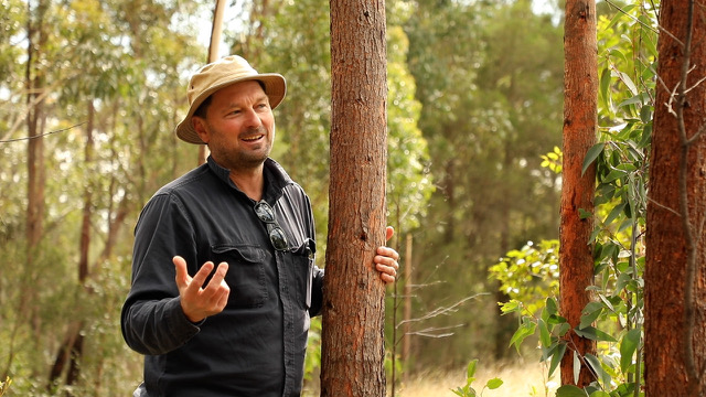 Trentham Carbon Forestry Project Receives Funding from the Hepburn Wind Impact Fund