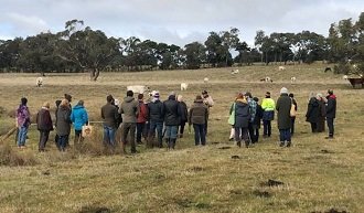 Regenerative Agriculture Farm Walk