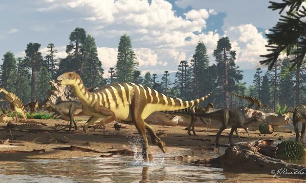 Dig for Fossils in the Library! Which Dinosaur Will You Find?
