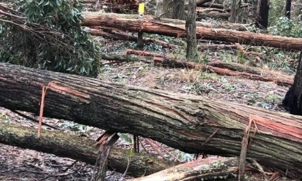 Shire Runs Drop In Sessions for Those Affected By the Storm