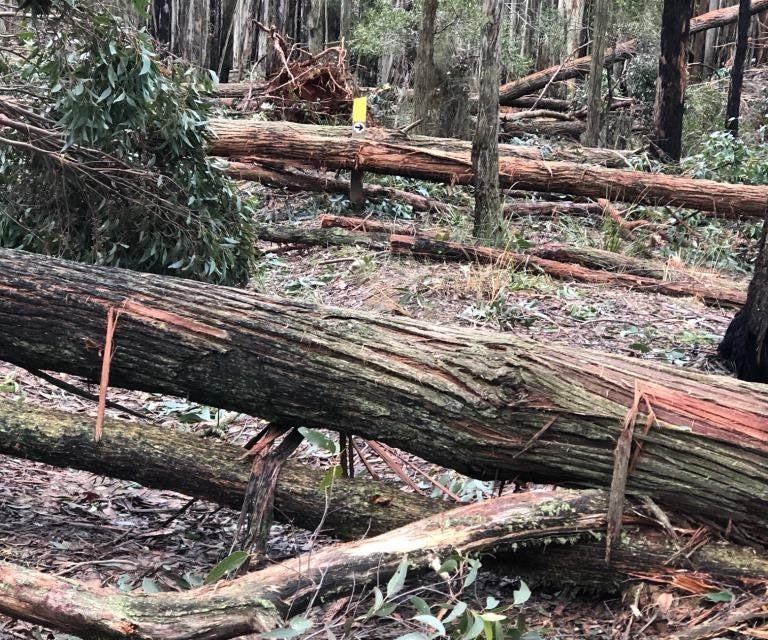 Shire Runs Drop In Sessions for Those Affected By the Storm