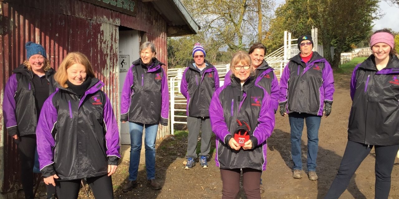 Riding for the Disabled Gets a Boost from Community Bank