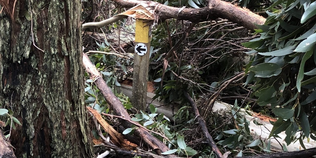 Extensive Damage to Great Dividing Trail Network