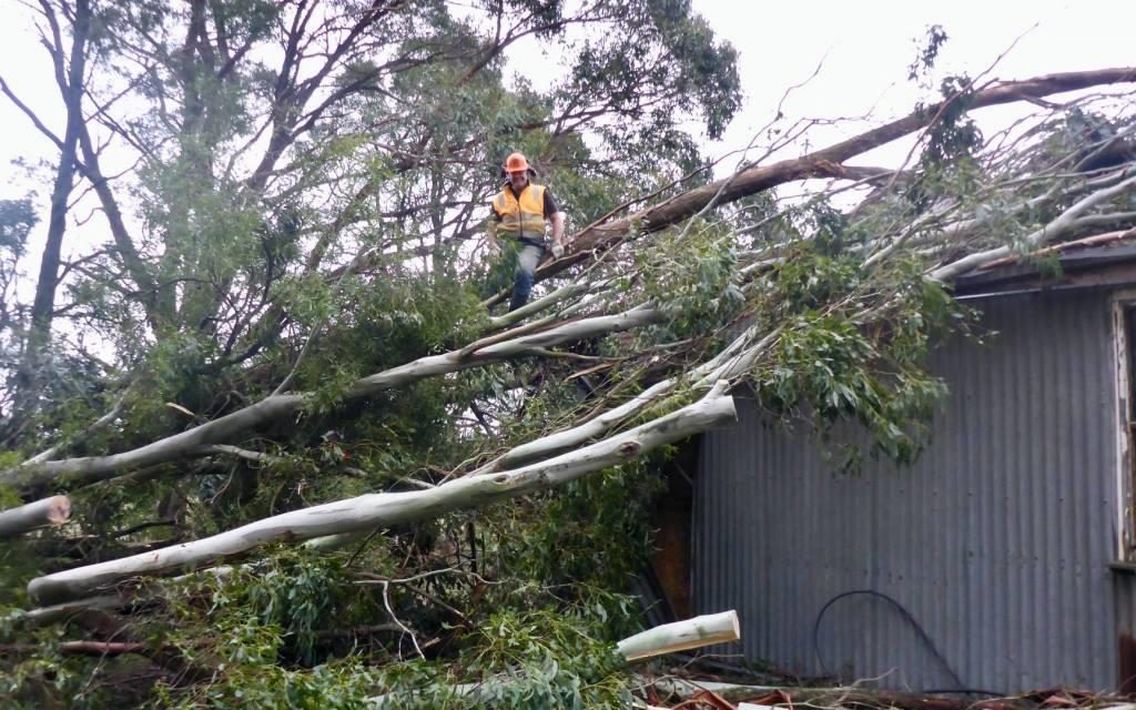 A Year After the Storm Much Remains to be Done