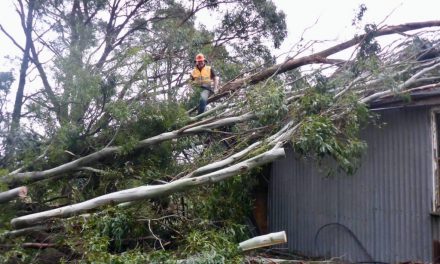 Help Available for Residents with Storm Damage