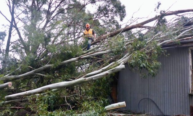 Recovery Phase Starts After Severe Weather Event