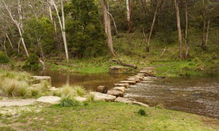 GDTA Publishes New Walk and Ride Circuits Booklet