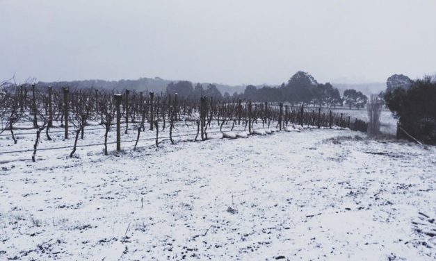 Wombat Forest Vineyard Nominated for Community Achievement Award