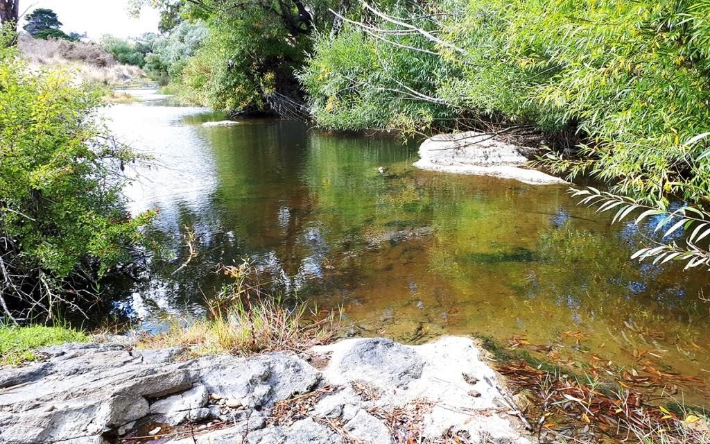 A New Name for Jim Crow Creek?