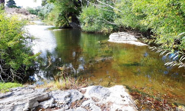 A New Name for Jim Crow Creek?