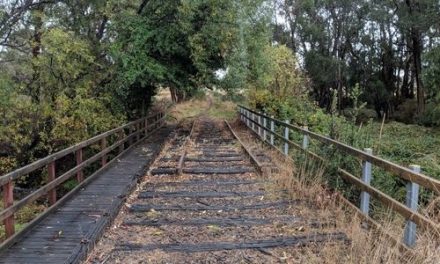 Council Considering Upgrades to Walking Tracks and Trails