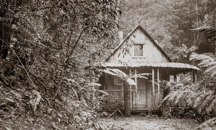 Mountain Hut Mystery