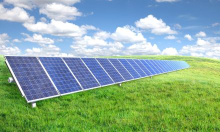 Support for Local Action on Climate Change