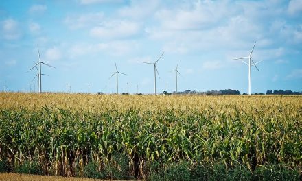 Practical Advice on Regenerative Farming
