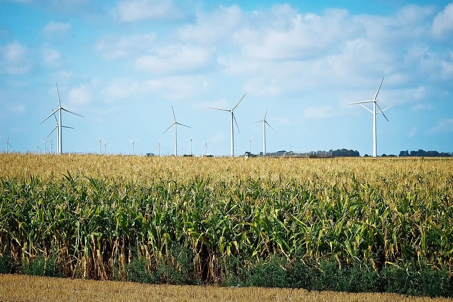 Practical Advice on Regenerative Farming