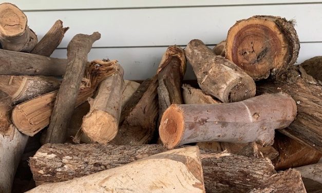 Free Firewood Distribution