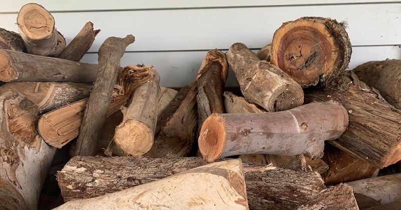 Free Firewood Distribution Trial to Resume
