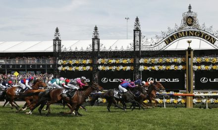 Melbourne Cup Public Holiday for Shire