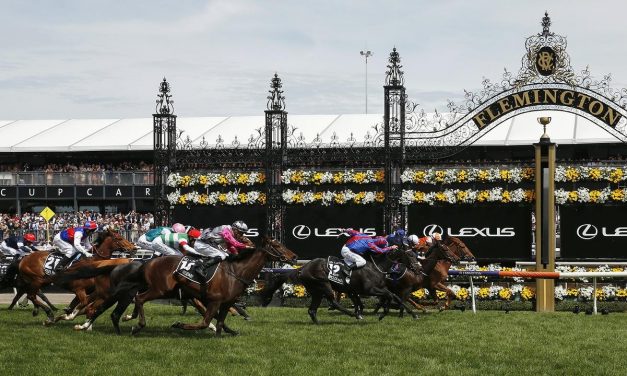 Melbourne Cup Public Holiday for Shire