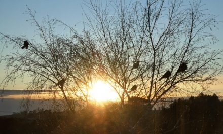 Spring Equinox Brings Longer Daylight Hours