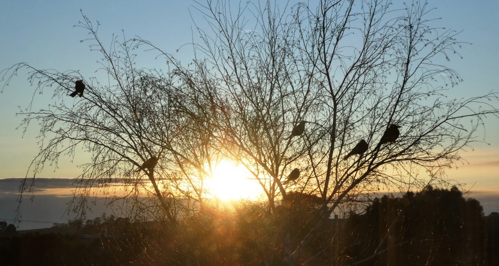 Spring Equinox Brings Longer Daylight Hours