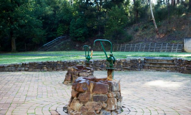 Council Adopts Vision for Central Springs Reserve