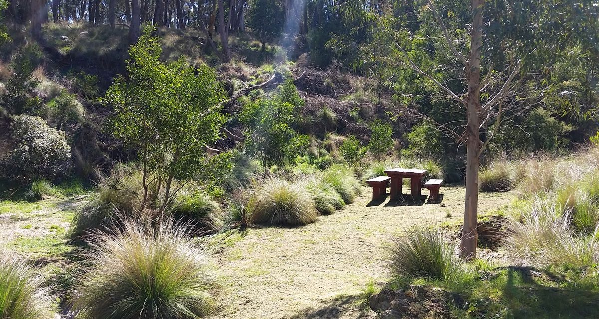 Maintaining the Cornish Hill Creek Track
