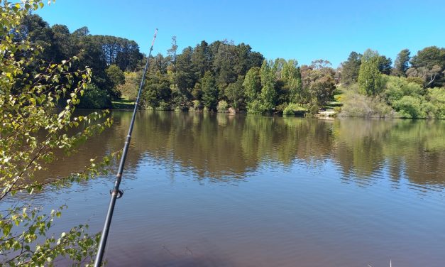 Spring and Summer Expected to be Wetter
