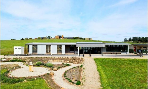 Dharma School Garden Project – From a Paddock to a Flourishing Garden